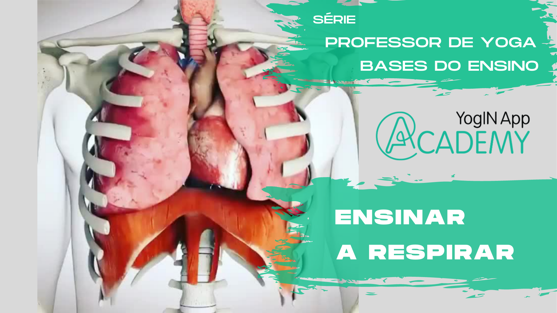 Ensinar a Respirar