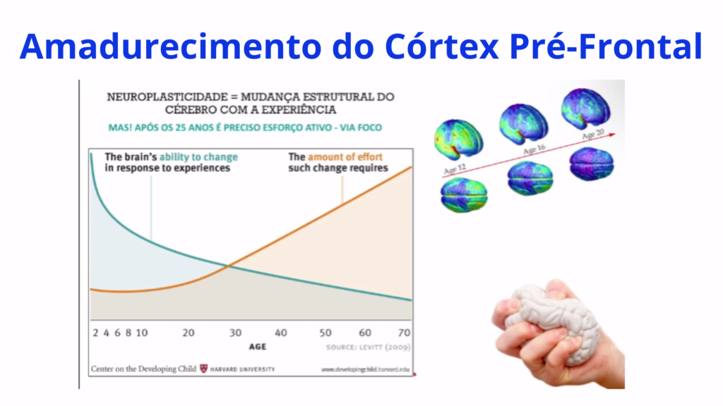 Amadurecimento do Córtex Pré-Frontal