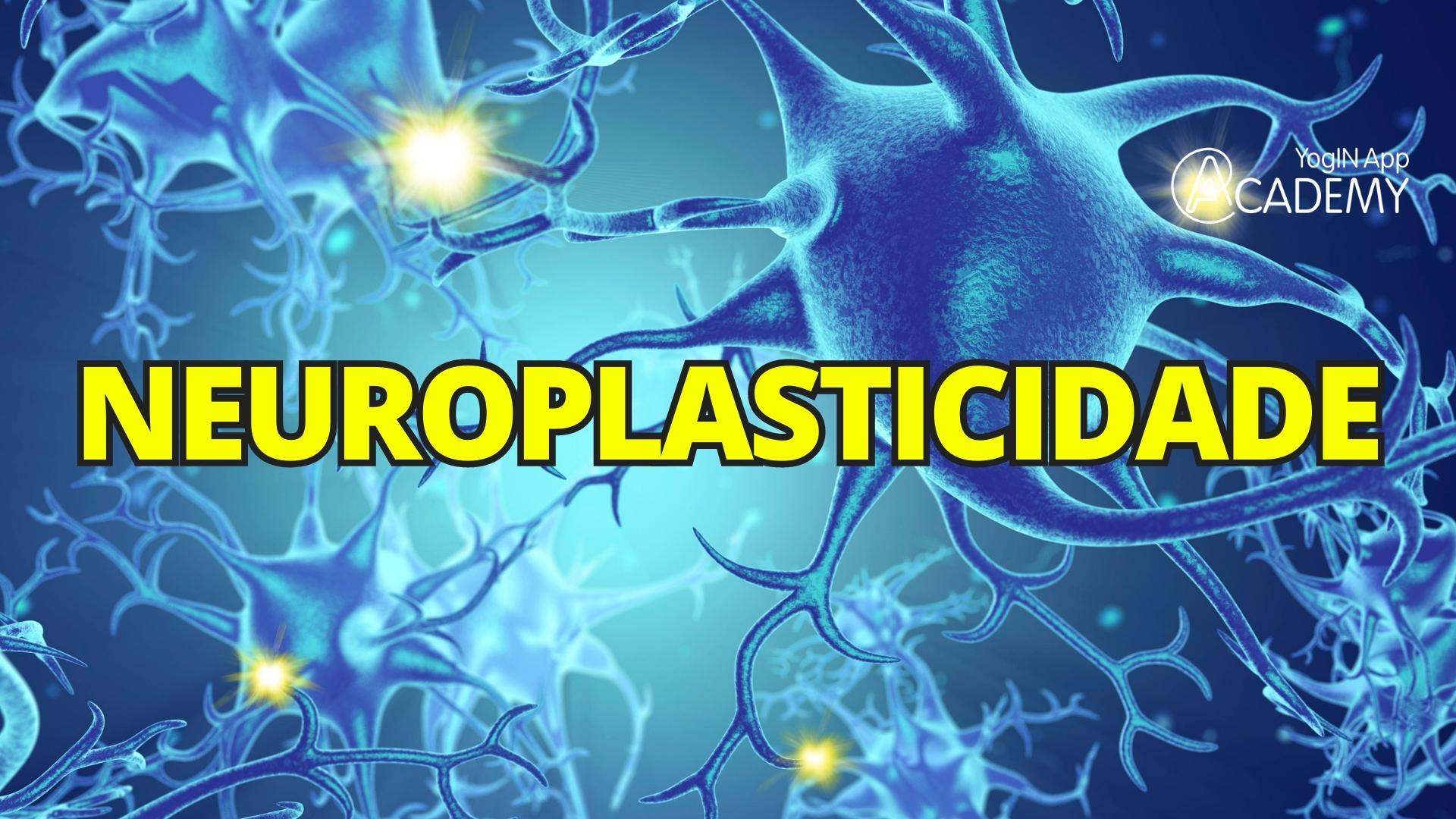 Neuroplasticidade