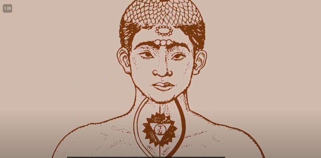 Consciência Corporal melhora a Saúde